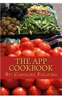 The App Cookbook: The Experience of Creating an App from Scratch