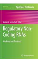 Regulatory Non-Coding Rnas