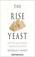 The Rise of Yeast: How the Sugar Fungus Shaped Civilization