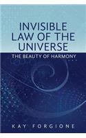 Invisible Law of the Universe