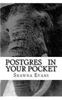 Postgres In Your Pocket