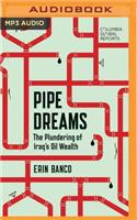 Pipe Dreams: The Plundering of Iraq's Oil Wealth