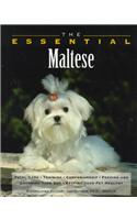 The Essential Maltese