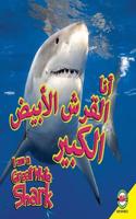 Great White Shark: Arabic-English Bilingual Edition