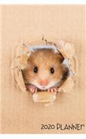 Planner 2020