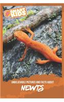 Unbelievable Pictures and Facts About Newts