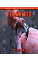 Flamingo! Learn about Flamingo and Enjoy Colorful Pictures