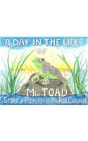 Day in the Life of Mr. Toad