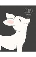 2019 Chihuahua: Dated Weekly Planner with to Do Notes & Dog Quotes - Chihuahua Cream(26 Awesome Calendar Planners for Dog Owners Dark)