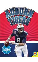 Auburn Tigers