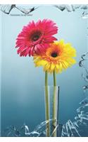 Notebook Daisy Cover