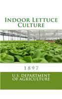 Indoor Lettuce Culture