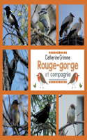 Rouge-gorge et compagnie