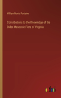 Contributions to the Knowledge of the Older Mesozoic Flora of Virginia
