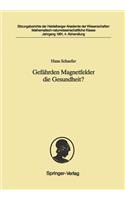 Gefährden Magnetfelder Die Gesundheit?