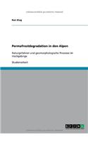Permafrostdegradation in den Alpen: Naturgefahren und geomorphologische Prozesse im Hochgebirge(German)