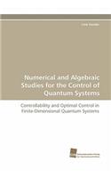 Numerical and Algebraic Studies for the Control of Quantum Systems