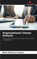 Organizational Climate Analysis