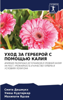 УХОД ЗА ГЕРБЕРОЙ С ПОМОЩЬЮ КАЛИЯ