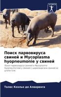Поиск парвовируса свиней и Mycoplasma hyopneumonie у свиней