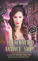 Enchanted Antique Shop