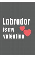 Labrador is my valentine: For Labrador Retriever Dog Fans