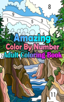 Amazing Color By Number Adult Coloring Book