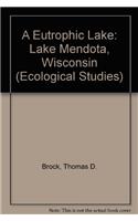 A Eutrophic Lake