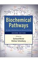 Biochemical Pathways 2e