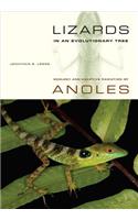 Lizards in an Evolutionary Tree