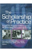 The Scholarship of Practice