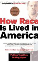 How Race Is Lived in America