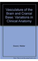 Vasculature of the Brain and Cranial Base