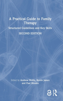 Practical Guide to Family Therapy