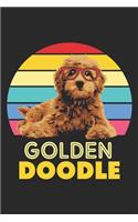 Golden Doodle