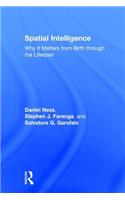 Spatial Intelligence