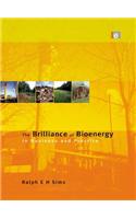 The Brilliance of Bioenergy