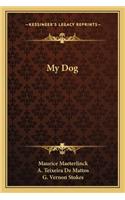 My Dog