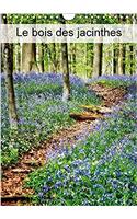 Bois Des Jacinthes 2017