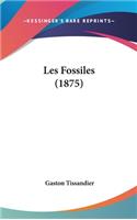 Les Fossiles (1875)
