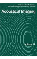 Acoustical Imaging