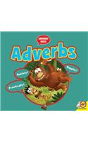 Adverbs