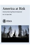 America at Risk