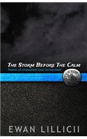 Storm Before The Calm
