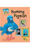 Homing Pigeon