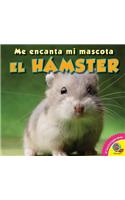 Hamster