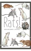 Rats! Rat Journal