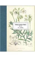 Vintage Botany Prints: Vol. 12