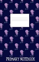 Primary Journal Notebook