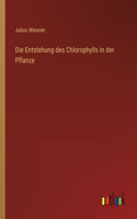 Die Entstehung des Chlorophylls in der Pflanze